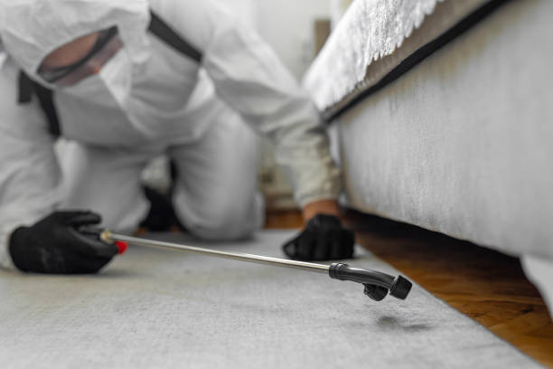 Professional Termite Control technician working in Orient, NY